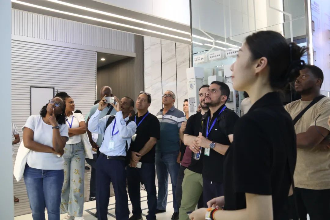 1754229349118366.jpg 1754229349118366.jpg